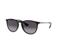 Ray Ban Erika Classic RB 4171-622/8G