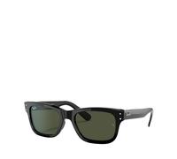 Ray-Ban Sonnenbrillen für Männer SONNENBRILLE RB2283