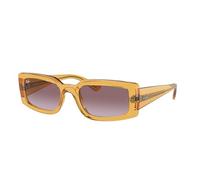 Ray-Ban Sonnenbrillen KILIANE RB 4395 Transparent Yellow/Violet Shaded 54/21/140 Unisex