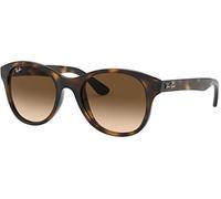 Ray-Ban Unisex Mod. 4203 Sonnenbrille, Mehrfarbig (Gestell: Havana, Gläser: braunverlauf 710/13), Medium (Herstellergröße: 51)