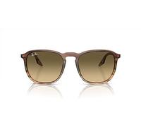 Ray-Ban Rb2203 Sonnenbrillen Braun Gestreift Fassung Silber Glas 55-20