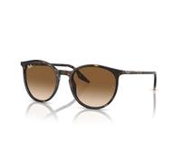 RayBan 0RB2204 Sonnenbrille 9025154