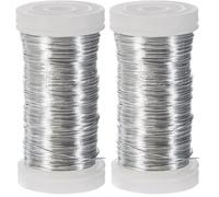 Rayher 2400121 Blumendraht, platin, 0,35 mm ø, Spule 100 m, Material Eisen, nickelfrei, Basteldraht, Wickeldraht, silber (Packung mit 2)