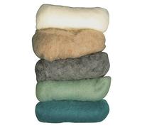 Rayher Hobby Rayher 5364700 Reine Schurwolle, Filzwolle, Vlies, 5 Farben á 20 g, (gesamt 100 g), Wintertöne, 100% Wolle zum Filzen, Märchenwolle, Wintermix Winter Lights