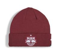 RBS ESS Beanie