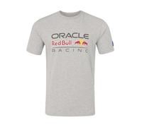 Red Bull Racing F1-Team, offizielles Produkt von Castore 2026, RBR Team Logo Graphic T-Shirt, Grau meliert, grau, S