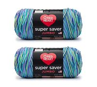 Red Heart E302C.3955P02 Super Saver Jumbo Garn, Acryl, Wildblume, 2 Pack, 880 Meter