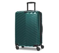 Redolz Essentials 18 4 Rollen Trolley 66 cm mit Dehnfalte Metallic-Green Shiny Herren