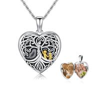 REDSUN Herz Medaillon Halskette 925 Sterling Silber Schmetterling Foto Kette Kristall Blau/Rosa/Rosenrot Amulett für Damen Fotos Personalisierte Anhänger Geschenke für Freundin Frau Mutter
