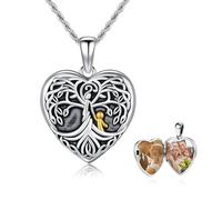 REDSUN Herz Medaillon Halskette 925 Sterling Silber Schmetterling Foto Kette Kristall Blau/Rosa/Rosenrot Amulett für Damen Fotos Personalisierte Anhänger Geschenke für Freundin Frau Mutter