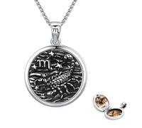 Redsun Skorpion Halskette 925 Sterling Silber Medaillon-Halskette Sternzeichen-Anhänger-Halsketten für Frauen Horoskop-Schmuck Geburtstagsgeschenk für Sie, Frauen, Teenager, Mädchen