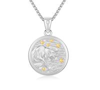 REDSUN Stier Sternzeichen Halskette 925 Sterling Silber 12 Konstellation Kette Tierkreiszeichen Anhänger Astrologie Horoskop Anhänger Sternzeichen Halskette Für Männer Frauen（Silber）