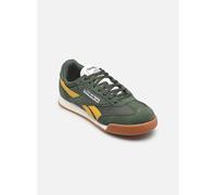 Reebok Classics Campio Xt Sportschuhe