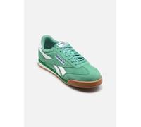 Reebok Classics Campio Xt Sportschuhe EU 43 Upgrade Green / Twilight Blue / Gum