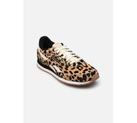 Sneaker REEBOK CLASSIC "CLASSIC AZ", Damen, Gr. 36, cheetah, schwarz, chalk, Leder, Synthetik, Schuhe Sneaker (96685412-36) cheetah, schwarz, chalk