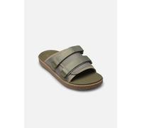 Reef - Sandalen Montauk - grün - Größe 40