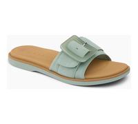 Reef Sunny Emma frosty 6