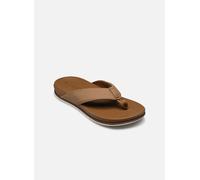 Reef - Zehensandalen Cushion Bonzer - Braun - Größe 46