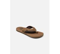 Reef - Zehensandalen Cushion Dawn - Braun - Größe 45