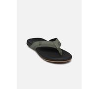 Reef - Zehensandalen Cushion Phantom 2.0 - grün - Größe 40