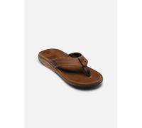 Reef - Zehensandalen Leather Offshore - Braun - Größe 44