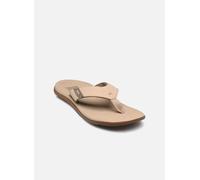 Reef - Zehensandalen Reef Santa Ana - beige - Größe 44