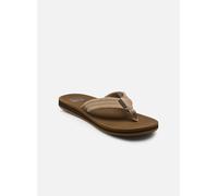 Reef Herren The Groundswell Sandale (Größe 40, braun)