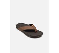 Reef - Zehensandalen The Raglan - braun - Größe 44