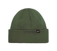 Reell Beanie Beetle Green