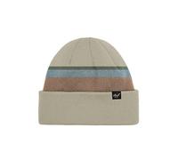 Reell Striped Beanie Off-Shell