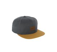 Reell Suede Cap grau