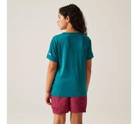 Regatta Alvarado IX T-Shirt für Kinder Grün, Größe: 3-4 Jr.