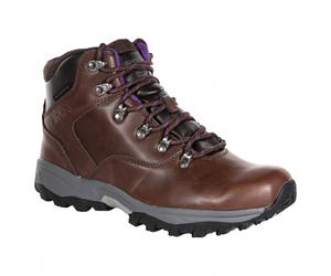 Regatta Bainsford Wanderstiefel Damen (Chestnut/Alpine Purple) Braun 38