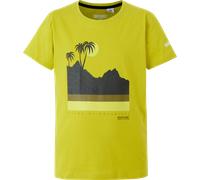 Regatta Bosley VIII Kinder T-Shirt grenoble green 176 grenoble green 176