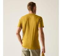 Regatta Breezed T-Shirt mit Grafikprint für Herren, Cotton Braun, Größe: M