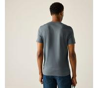 Regatta Breezed T-Shirt mit Grafikprint für Herren, Cotton Grau, Größe: 5XL