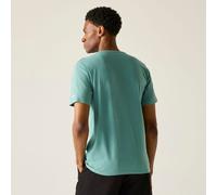 Regatta Cline IX T-Shirt für Herren, Cotton Grün, Größe: 4XL