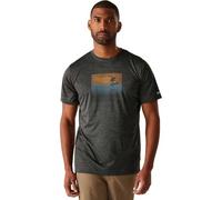 Regatta Fingal IX Shirt Herren - S