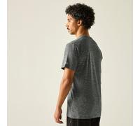 Regatta Fingal T-Shirt mit Graphic-Print für Herren Grau, Größe: S