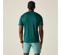 Regatta Fingal T-Shirt mit Graphic-Print für Herren Grün, Größe: XL