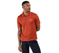 Regatta Maverik V Poloshirt für Herren