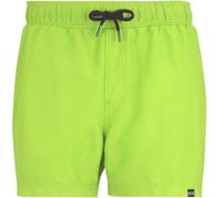 Regatta Mawson III Herren Schwimmshorts sharp green navy XXXL sharp green navy XXXL