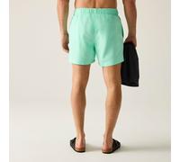 Regatta Mawson III Schwimmshorts für Herren Grün, Größe: XXL