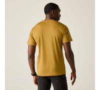 Regatta Trekking T-shirt Herren Mann Fingal Slogan Gelb Größe S