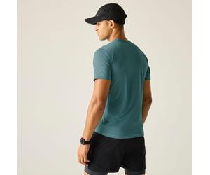 Regatta Mindo Insektenschutz-Kurzarmshirt für Herren Grün, Größe: XL