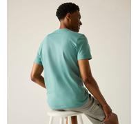 Regatta Regatta Breezed T-Shirt mit Grafikprint für Herren, Cotton Grün, Größe: 5XL