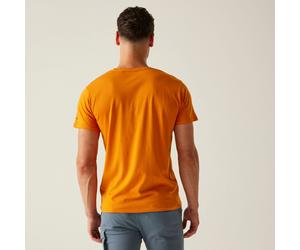 Regatta Regatta Breezed V T-Shirt für Herren, Cotton Orange, Größe: 4XL