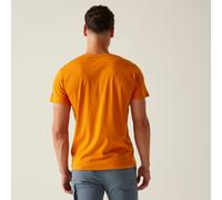 Regatta Regatta Breezed V T-Shirt für Herren, Cotton Orange, Größe: M