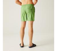 Regatta Regatta Mackleyna Badeshorts für Herren Grün, Größe: 3XL