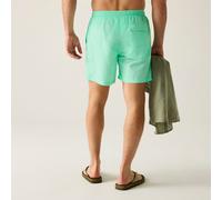 Regatta Regatta Mackleyna Badeshorts für Herren Grün, Größe: XXL